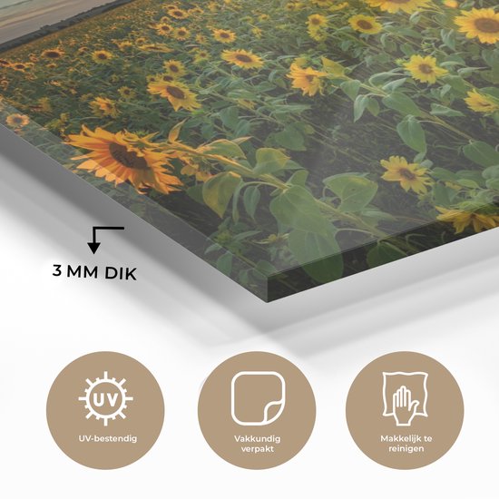 Peinture sur verre - Décoration murale - Fleurs - Tournesol - Jaune - Ciel - Peinture sur verre - Photo sur verre - Peinture fleurs - Verre acrylique - 30x20 cm - Décoration murale