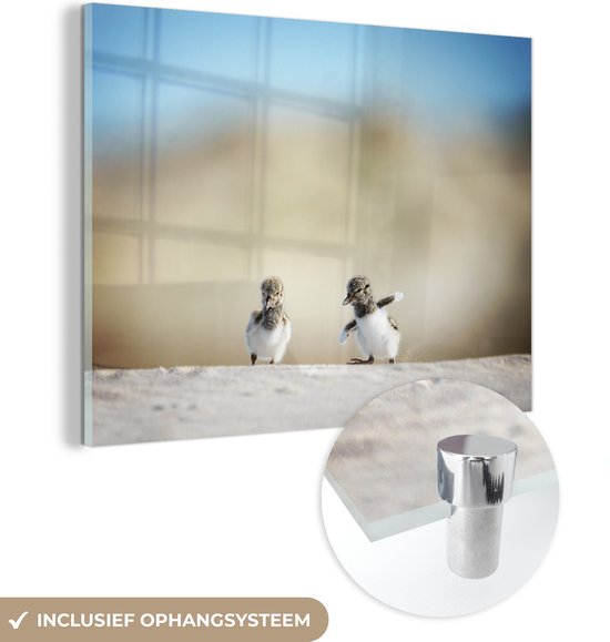 MuchoWow® Peinture sur verre 40x30 cm - Peinture sur verre acrylique - Huîtriers - Drôles - Poussins - Enfants - Garçons - Filles - Kids - Photo sur verre - Peintures