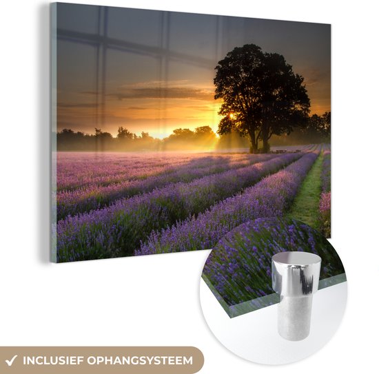 MuchoWow® Glasschilderij 180x120 cm - Schilderij acrylglas - Mayfield lavendel veld met een mistige zonsopgang - Foto op glas - Schilderijen