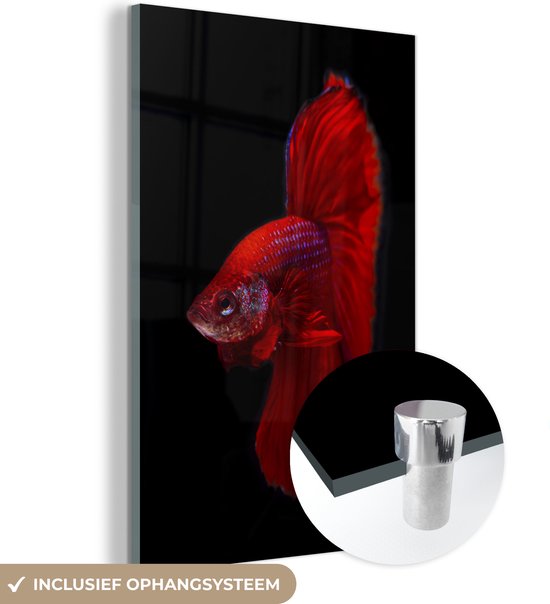 MuchoWow® Glasschilderij - Vis - Dieren - Rood - Acrylglas Schilderijen - Foto op Glas