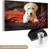 MuchoWow® Glasschilderij 160x80 cm - Schilderij acrylglas - Labrador puppy met deken - Foto op glas - Schilderijen