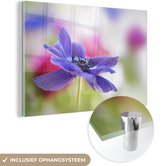 MuchoWow® Peinture sur verre 60x40 cm - Peinture acrylique sur verre - Anémone violette - Photo sur verre - Peintures