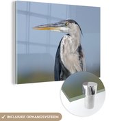 MuchoWow® Glasschilderij 80x60 cm - Schilderij acrylglas - Wegkijkende blauwe reiger - Foto op glas - Schilderijen