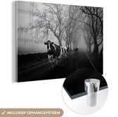 MuchoWow® Glasschilderij 60x40 cm - Schilderij acrylglas - Rij met koeien - Foto op glas - Schilderijen