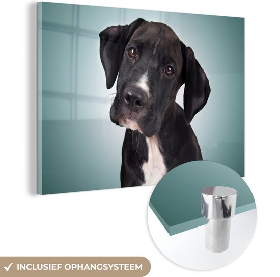 MuchoWow® Glasschilderij 30x20 cm - Schilderij acrylglas - Lieve zwart-witte hond - Foto op glas - Schilderijen