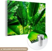MuchoWow® Glasschilderij 120x80 cm - Schilderij acrylglas - Tropische bladeren in jungle fotoprint - Foto op glas - Schilderijen