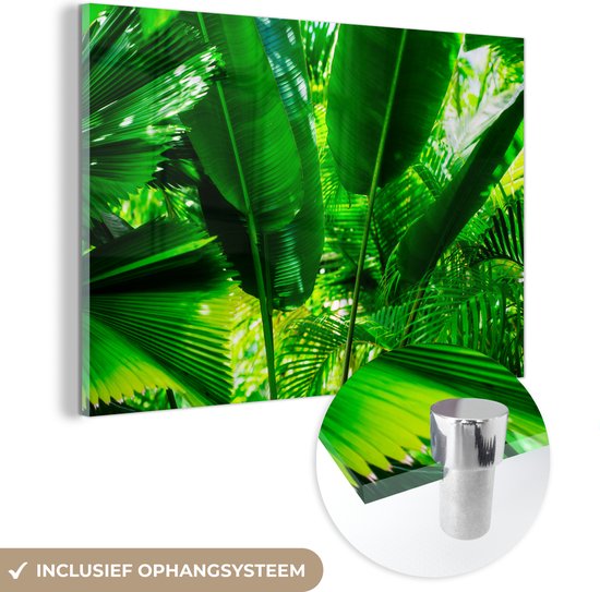 MuchoWow® Glasschilderij 120x80 cm - Schilderij acrylglas - Tropische bladeren in jungle fotoprint - Foto op glas - Schilderijen