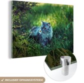 MuchoWow® Glasschilderij 120x80 cm - Schilderij acrylglas - Grijze kat - Foto op glas - Schilderijen