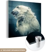 MuchoWow® Glasschilderij 20x20 cm - Schilderij acrylglas - ijsbeer onder water - Foto op glas - Schilderijen