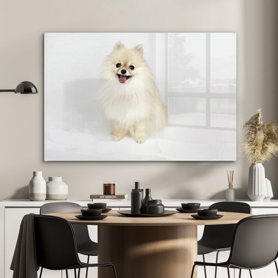 MuchoWow® Peinture sur verre 90x60 cm - Peinture acrylique sur verre - Poméranien joyeux - Photo sur verre - Peintures