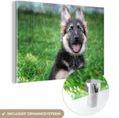 MuchoWow® Glasschilderij 90x60 cm - Schilderij acrylglas - Gelukkige Duitse herder pup - Foto op glas - Schilderijen