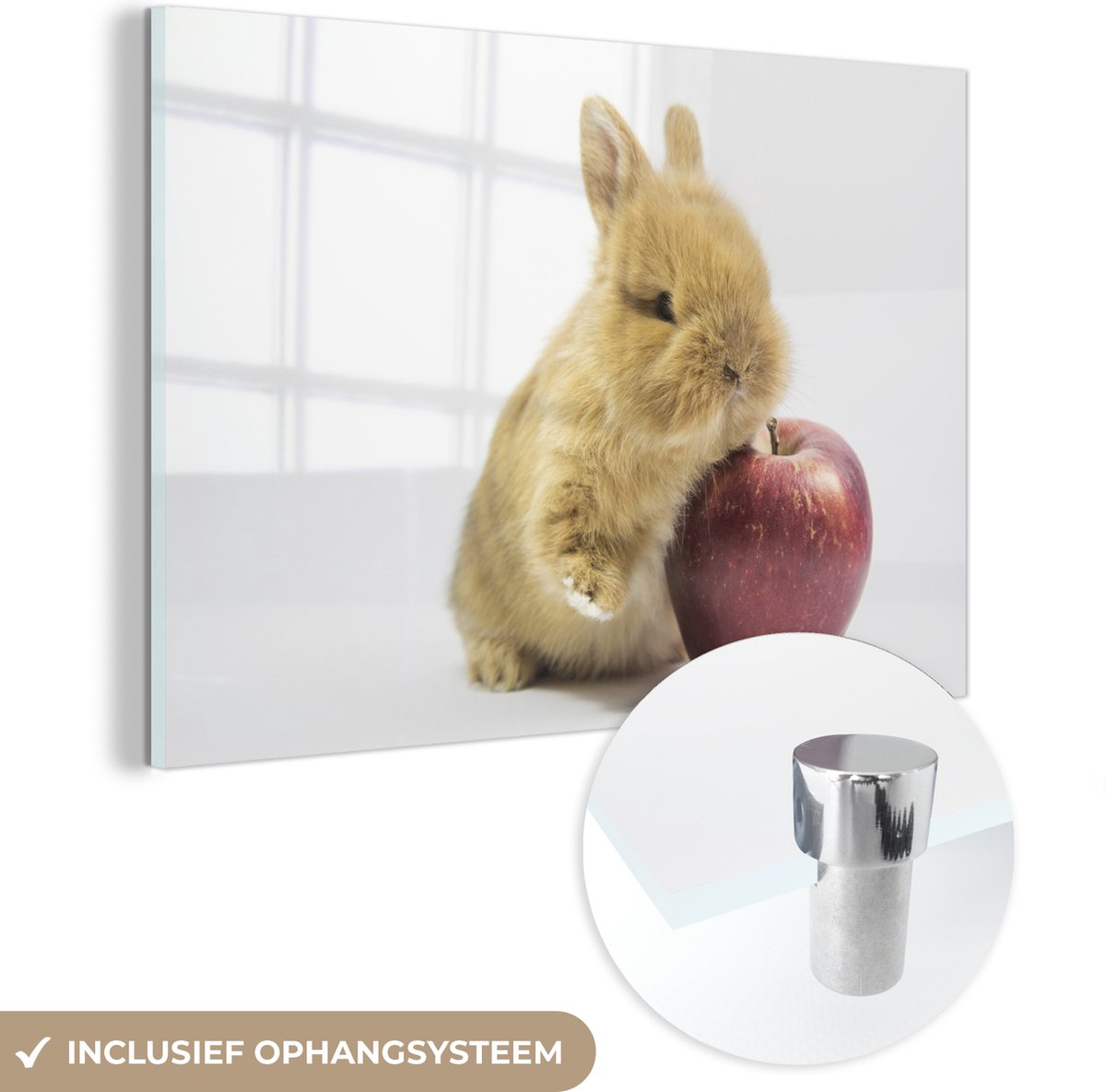 ® Glasschilderij 180x120 cm - Schilderij acrylglas - Konijn - Baby - Appel - Foto op glas - Muurdecoratie woonkamer - Wanddecoratie slaapkamer - Schilderijen