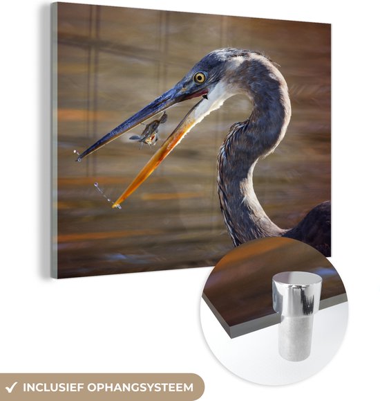 MuchoWow® Peinture sur Verre - Héron avec proie - 80x60 cm - Peintures sur Verre Acrylique - Photo sur Glas