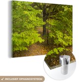 MuchoWow® Glasschilderij 90x60 cm - Schilderij acrylglas - Iepenbos in de herfst - Foto op glas - Schilderijen