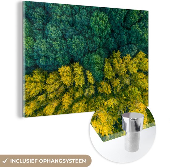 Glasschilderij - Bos - Bomen - Geel - Groen - Acrylglas Schilderijen - Foto op Glas
