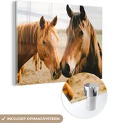 MuchoWow® Peinture sur Verre - Cheval - Plage - Animaux - 40x30 cm - Peintures sur Verre Acrylique - Photo sur Glas