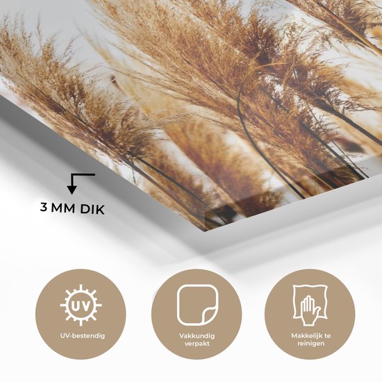 MuchoWow® Peinture sur verre 30x20 cm - Peinture acrylique sur verre - Herbe de la pampa - Soleil - Herbe - Photo sur verre - Peintures