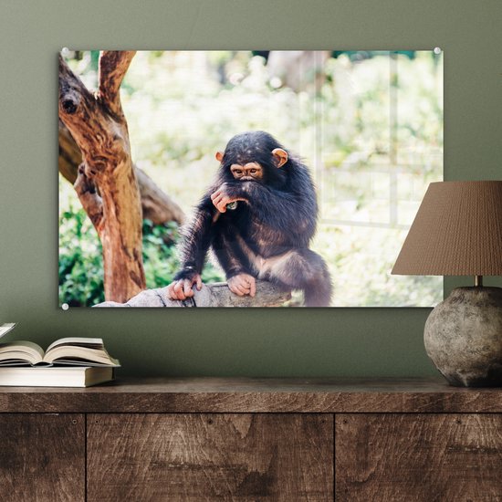 MuchoWow® Peinture sur verre 60x40 cm - Peinture sur verre acrylique - Singe chimpanzé en gros plan assis dans la forêt - Photo sur verre - Peintures