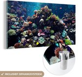 MuchoWow® Glasschilderij 160x80 cm - Schilderij acrylglas - Aquarium met tropische vissen en koralen - Foto op glas - Schilderijen