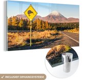 MuchoWow® Glasschilderij 160x80 cm - Schilderij acrylglas - Kiwi bord Nieuw-Zeeland - Foto op glas - Schilderijen