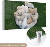 MuchoWow® Glasschilderij 160x80 cm - Schilderij acrylglas - Honden - Puppy - Gras - Foto op glas - Schilderijen