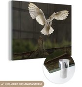 MuchoWow® Glasschilderij 80x60 cm - Schilderij acrylglas - Vliegende kerkuil - Foto op glas - Schilderijen