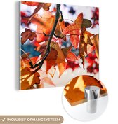 MuchoWow® Glasschilderij 20x20 cm - Schilderij acrylglas - Esdoorn - Bladeren - Landelijk - Herfst - Foto op glas - Schilderijen