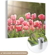 MuchoWow® Glasschilderij 80x60 cm - Schilderij acrylglas - Tulpen - Zon - Lente - Foto op glas - Schilderijen