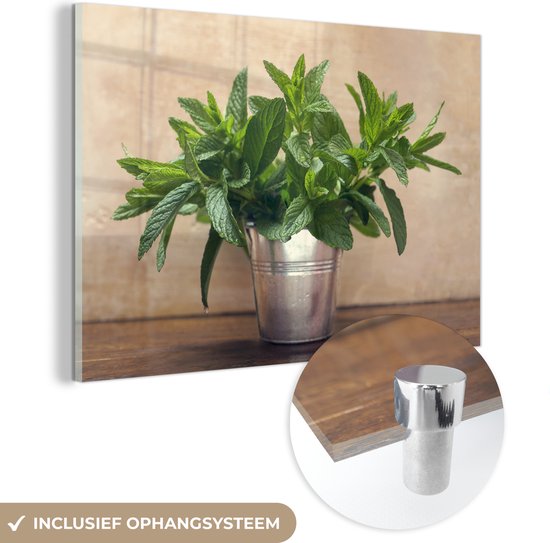 Un vase en métal rempli à ras bord de feuilles de menthe Plexiglas 120x80 cm - Tirage photo sur Glas (décoration murale en plexiglas)