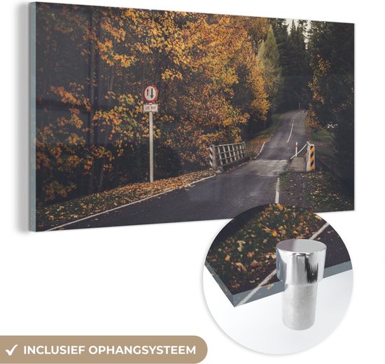 MuchoWow® Glasschilderij 80x40 cm - Schilderij acrylglas - Bomen - Weg - Herfst - Foto op glas - Schilderijen