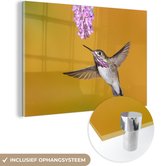 Un colibri calliope sur fond jaune Plexiglas 60x40 cm - Tirage photo sur Glas (Décoration murale plexiglas)