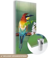 MuchoWow® Glasschilderij 20x40 cm - Schilderij acrylglas - Vogel - Bijeneter - Bloemen - Foto op glas - Schilderijen