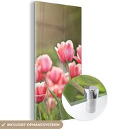 MuchoWow® Glasschilderij 40x80 cm - Schilderij acrylglas - Tulpen - Zon - Lente - Foto op glas - Schilderijen