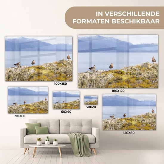 Vogels dans le parc national de la Terre de Feu avec des montagnes enneigées en arrière-plan Plexiglas 120x80 cm - Tirage photo sur Glas (décoration murale en plexiglas)