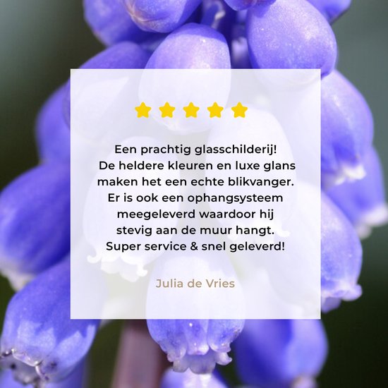 Jacinthe de raisin commun par une journée ensoleillée Plexiglas 60x90 cm - Tirage photo sur Glas (décoration murale en plexiglas)