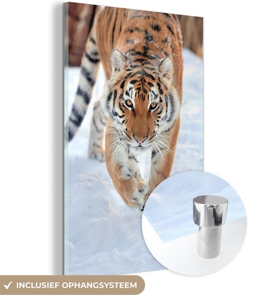 MuchoWow® Peinture sur verre 80x120 cm - Peinture acrylique sur verre - Tigre - Neige - Animaux - Photo sur verre - Peintures