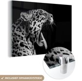 Peinture sur Verre - Jaguar - Animal - Zwart - Wit - 90x60 cm - Peintures sur Verre Acrylique - Photo sur Glas