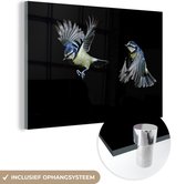 MuchoWow® Glasschilderij 120x80 cm - Schilderij acrylglas - Vogels - Veren - Zwart - Foto op glas - Schilderijen