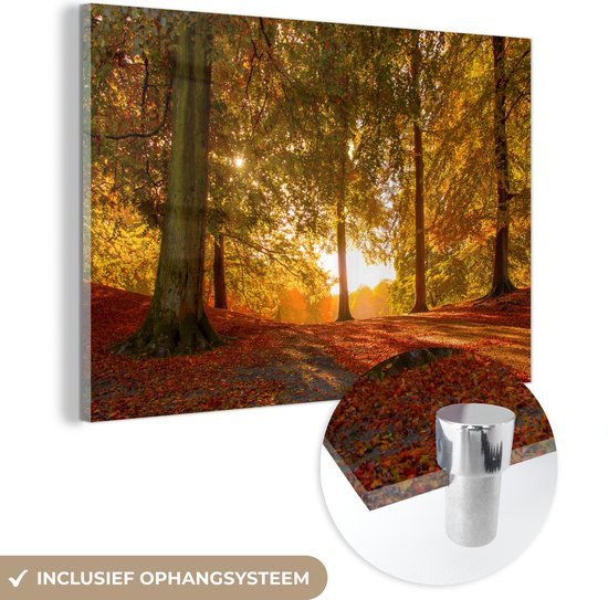 MuchoWow® Glasschilderij 120x80 cm - Schilderij acrylglas - Herfst - Licht - Bos - Foto op glas - Schilderijen