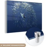 MuchoWow® Glasschilderij 120x80 cm - Schilderij acrylglas - Water - Sardientjes - Dieren - Foto op glas - Schilderijen