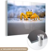MuchoWow® Peinture sur verre 180x120 cm - Peinture sur verre - Crabe - Plage - Mer - Photo sur verre acrylique - Peintures