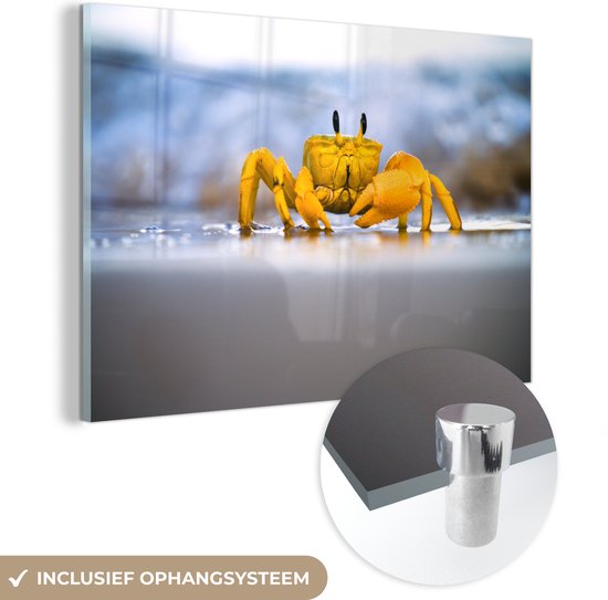 MuchoWow® Peinture sur verre 180x120 cm - Peinture sur verre - Crabe - Plage - Mer - Photo sur verre acrylique - Peintures