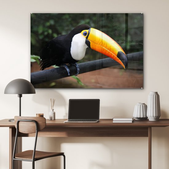 MuchoWow® Peinture sur verre 120x80 cm - Peinture sur verre acrylique - Toucan sur une branche noire au Brésil - Photo sur verre - Peintures