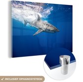 MuchoWow® Glasschilderij 120x80 cm - Schilderij acrylglas - Haai - Zee - Water - Foto op glas - Schilderijen