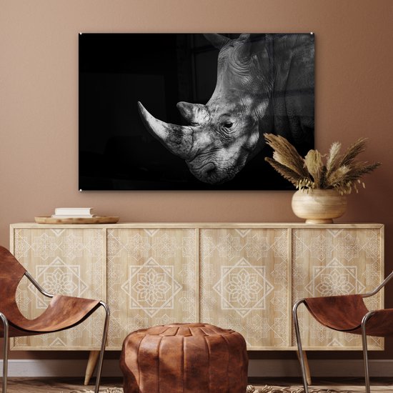 Peinture sur Verre - Rhinocéros - Animal - Lumière - 120x80 cm - Peintures Plexiglas