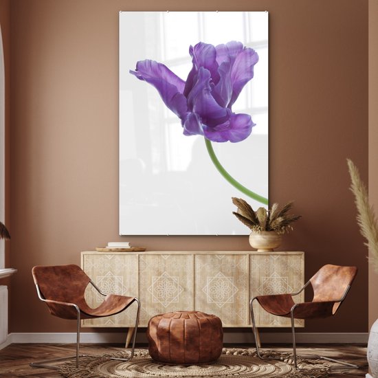 MuchoWow® Peinture sur verre 100x150 cm - Peinture sur verre acrylique - tulp violette sur fond blanc - Photo sur verre - Peintures