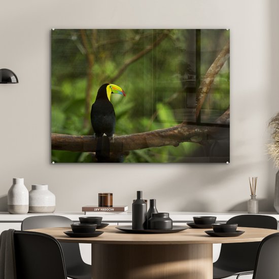 MuchoWow® Peinture sur verre 80x60 cm - Peinture sur verre acrylique - Dos d'un toucan sur une branche - Photo sur verre - Peintures