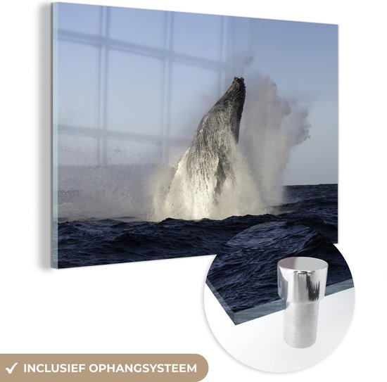 MuchoWow® Glasschilderij 30x20 cm - Schilderij acrylglas - Walvis - Water - Zuid-Afrika - Foto op glas - Schilderijen