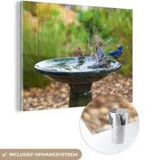 MuchoWow® Glasschilderij 80x60 cm - Schilderij acrylglas - Vogelbad - Vogel - Water - Foto op glas - Schilderijen