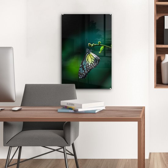 Peinture sur Verre - Papillon sur une Branche Fine - 40x60 cm - Peintures sur Verre Peintures - Photo sur Glas